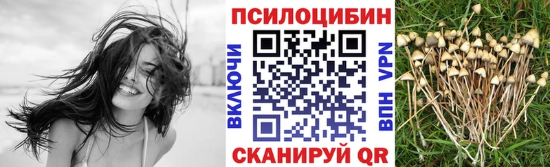 blacksprut как войти  Ульяновск  Галлюциногенные грибы мухоморы 